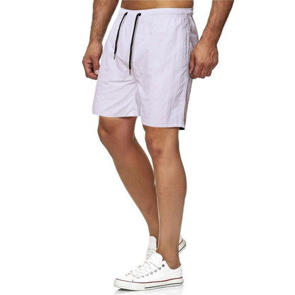 Sports Fitness Shorts